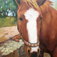 Портрет лошади на заказ с фотографии